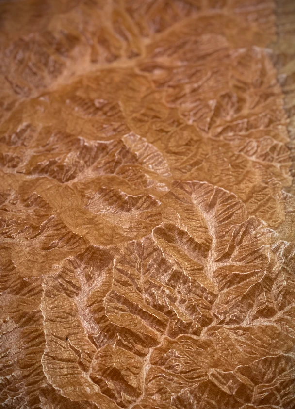 Close-up of carved wood showing detailed mountain ridgelines and contour texture